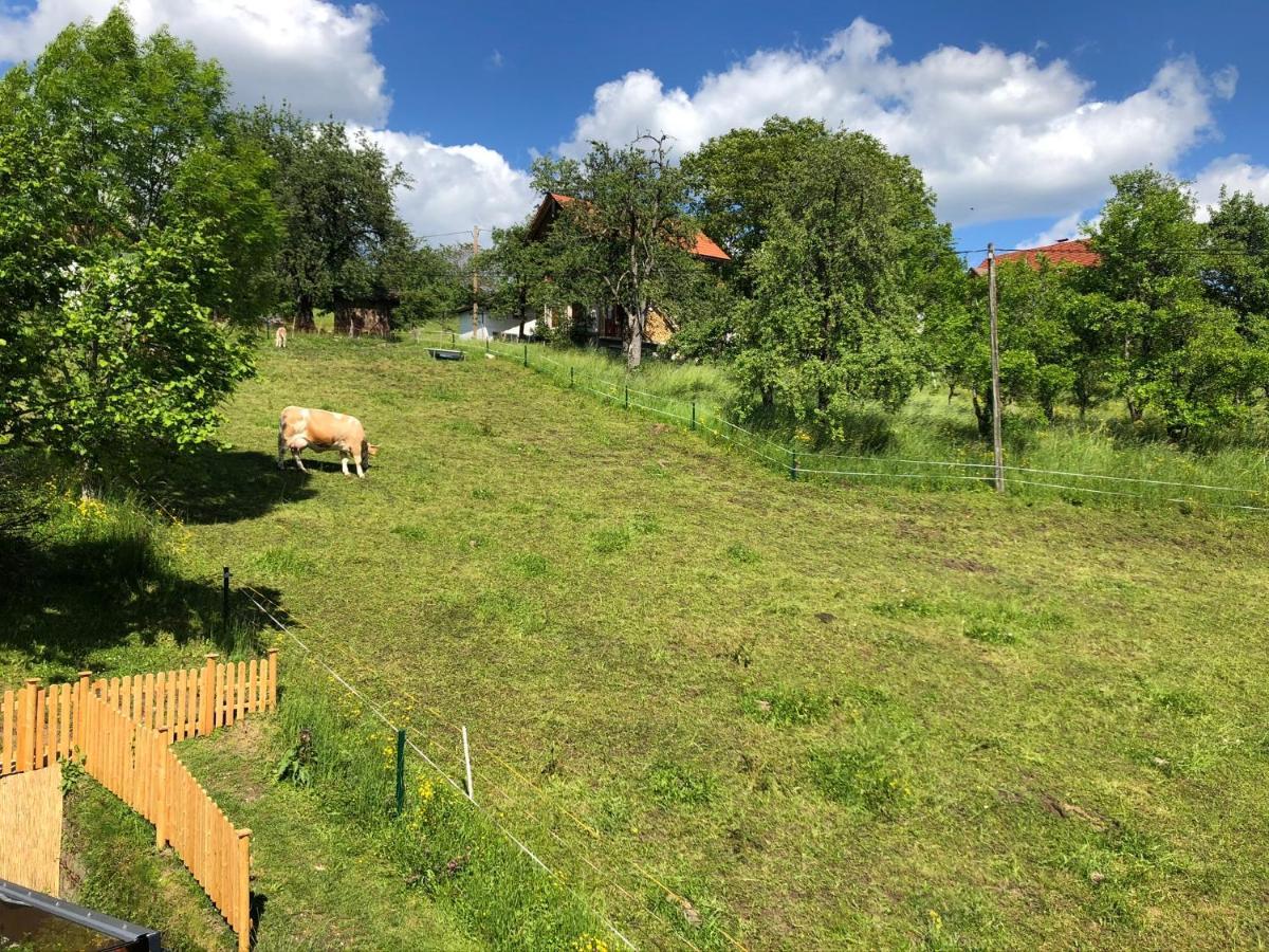 Fam. Unterberger Apartment Bad Goisern